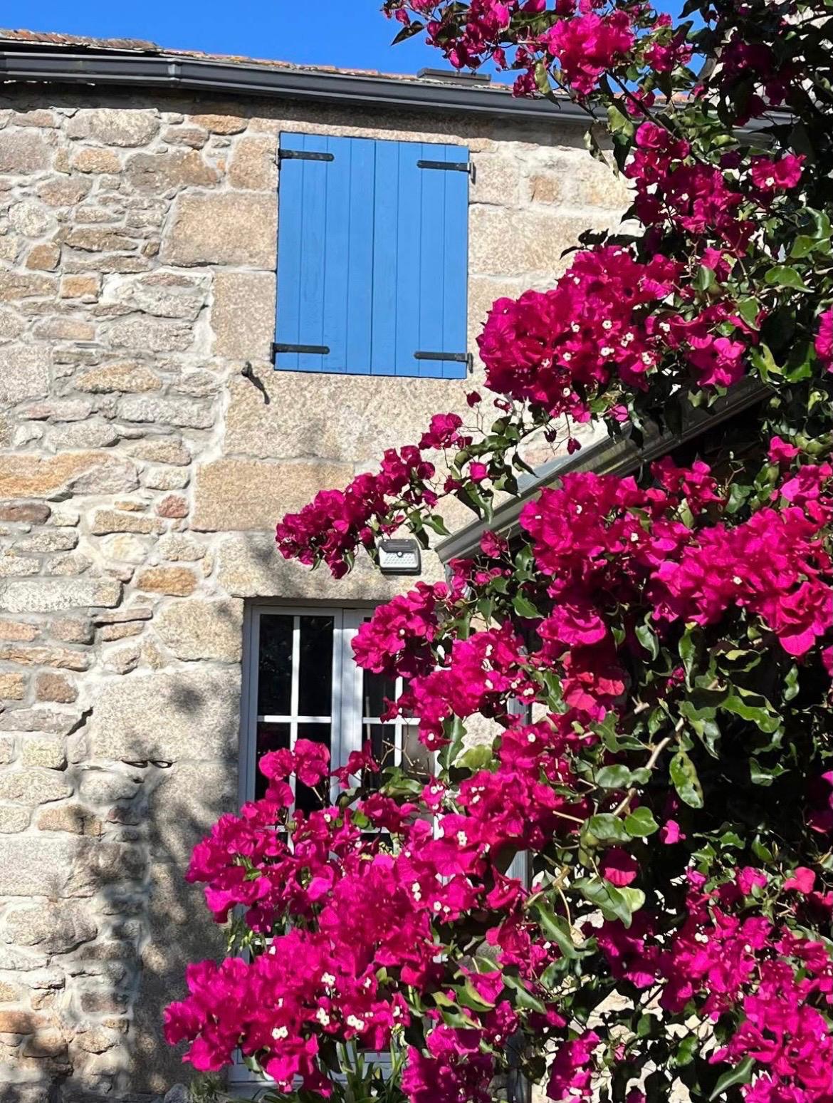 image message 2026 04 17T104208.236